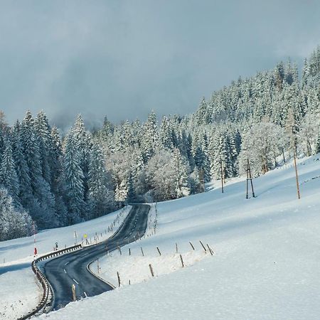 Mühlbach am Hochkönig Ferienbauernhof Elmaugut 빌라 외부 사진