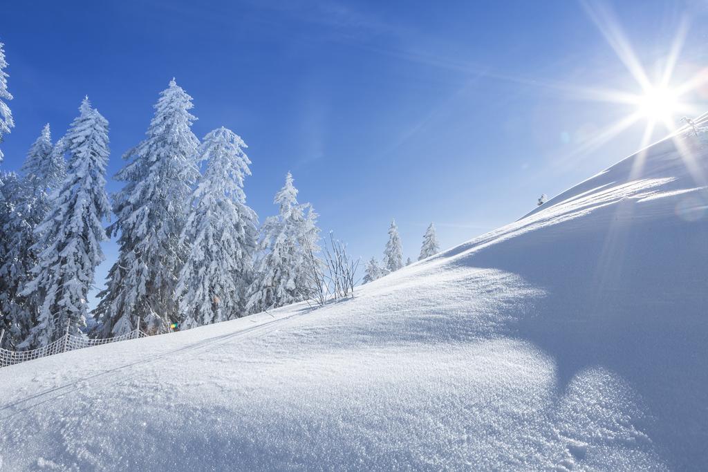Mühlbach am Hochkönig Ferienbauernhof Elmaugut 빌라 외부 사진